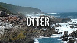 Otter Trail