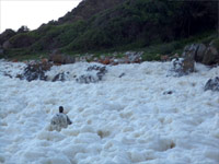 Otter Trail Foam