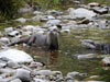 Otter Trail Hiking