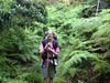 Outeniqua Hiking Trail