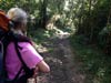 Outeniqua Hiking Trail