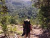 Outeniqua Hiking Trail