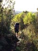 Outeniqua Hiking Trail