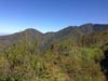 Outeniqua Hiking Trail