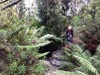 Outeniqua Hiking Trail