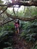 Outeniqua Hiking Trail