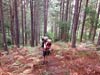 Outeniqua Hiking Trail