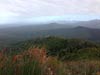 Outeniqua Hiking Trail