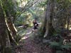 Outeniqua Hiking Trail